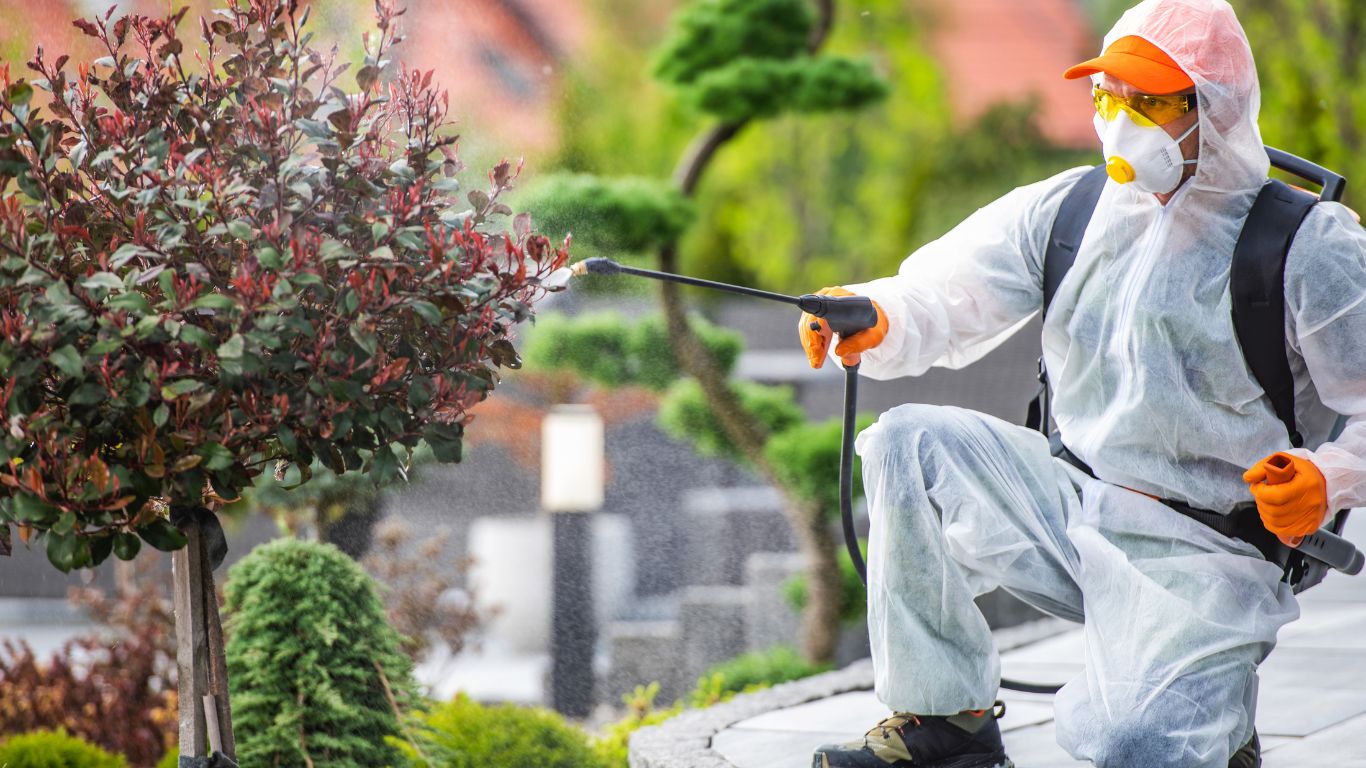 Agricultural pest control