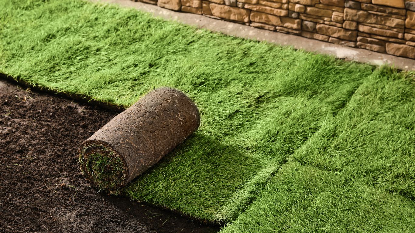 Landscape and Gardening Services (2) Water Tank Cleaning Services
