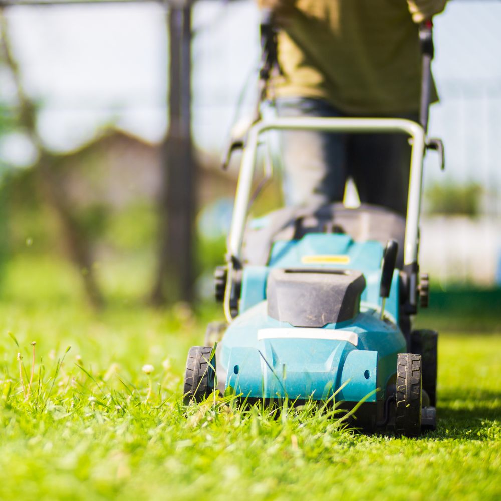 Landscape and Gardening Services (2) Water Tank Cleaning Services