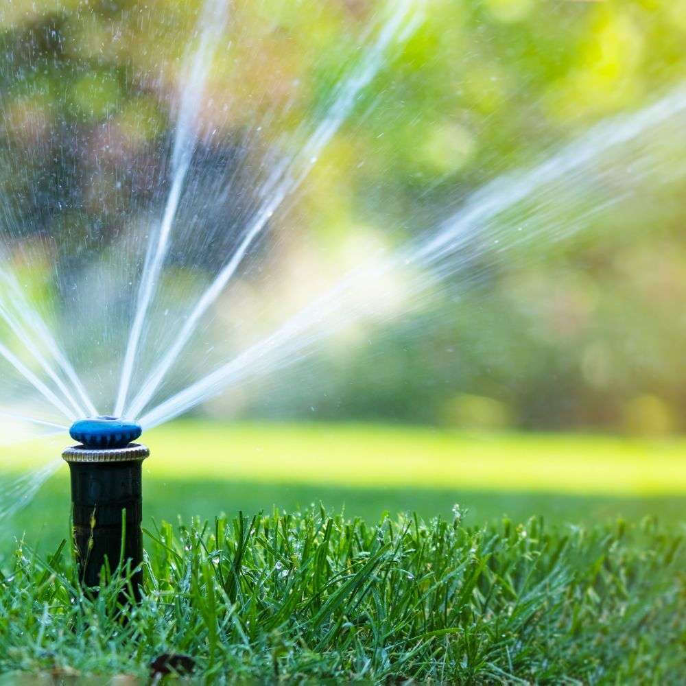 Landscape and Gardening Services (3) Water Tank Cleaning Services