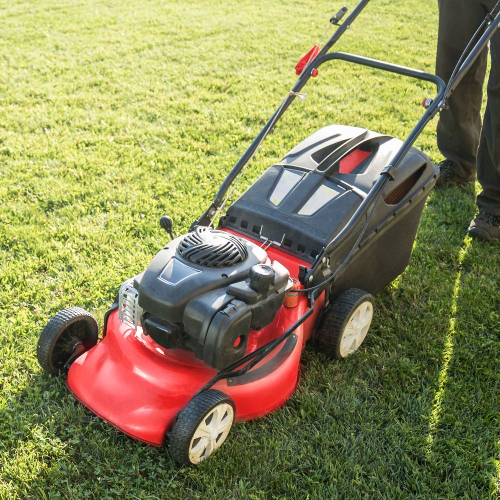 Landscape and Gardening Services (8) Water Tank Cleaning Services
