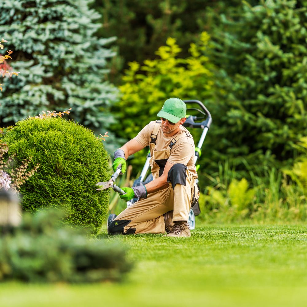 Landscape and Gardening Services Water Tank Cleaning Services